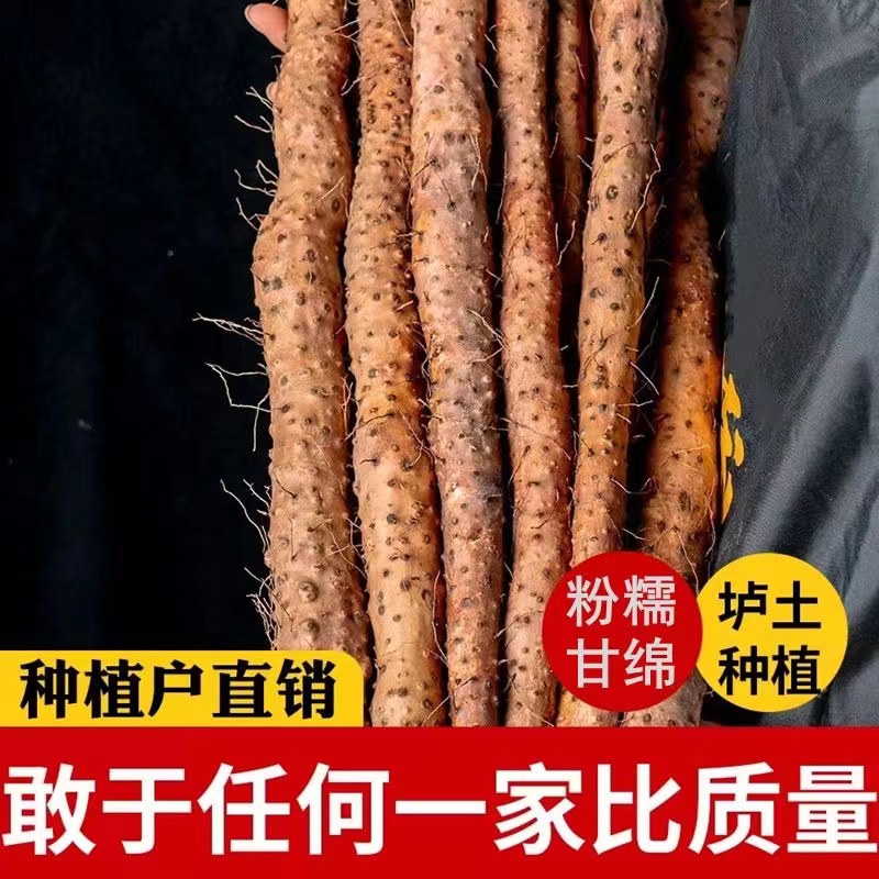 大果5斤装河南焦作温县垆土地铁棍山药缩略图 5