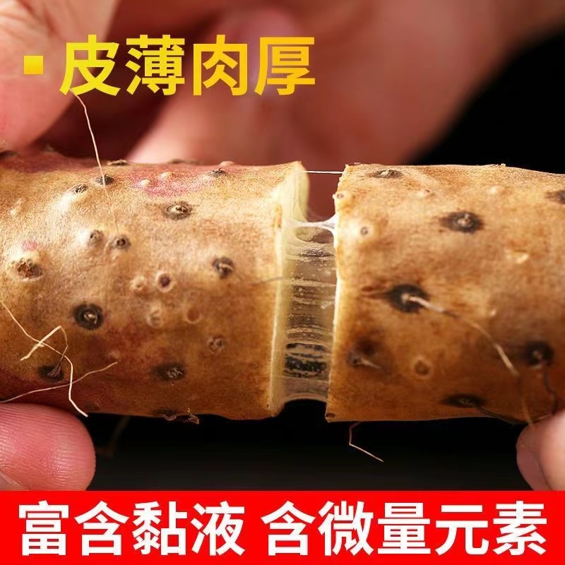 商品详情图 1