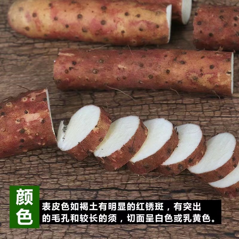 商品详情图 3