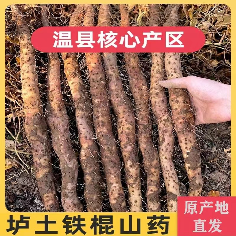 商品详情图 6