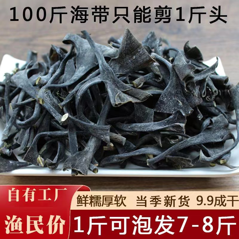 霞浦特产日晒干海带头100g-500g袋装 霞浦海带根高泡发率食用干净