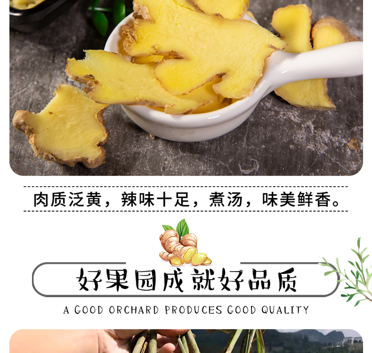 商品详情图 6