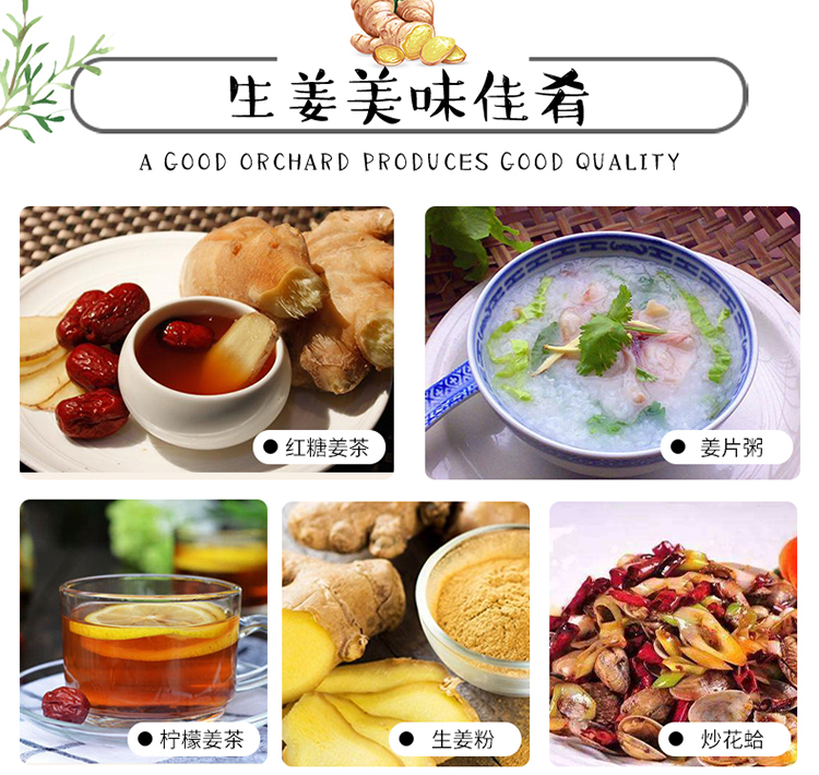 商品详情图 9