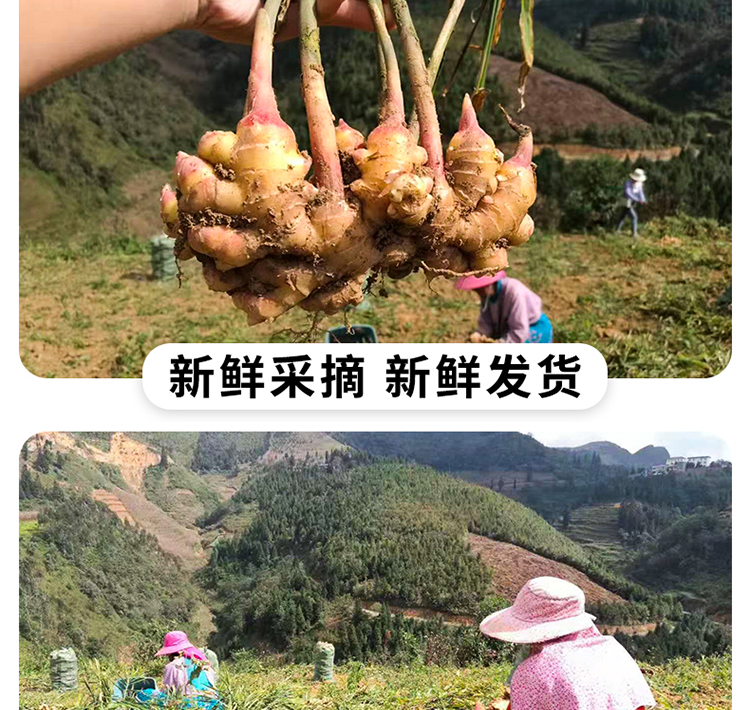 商品详情图 7
