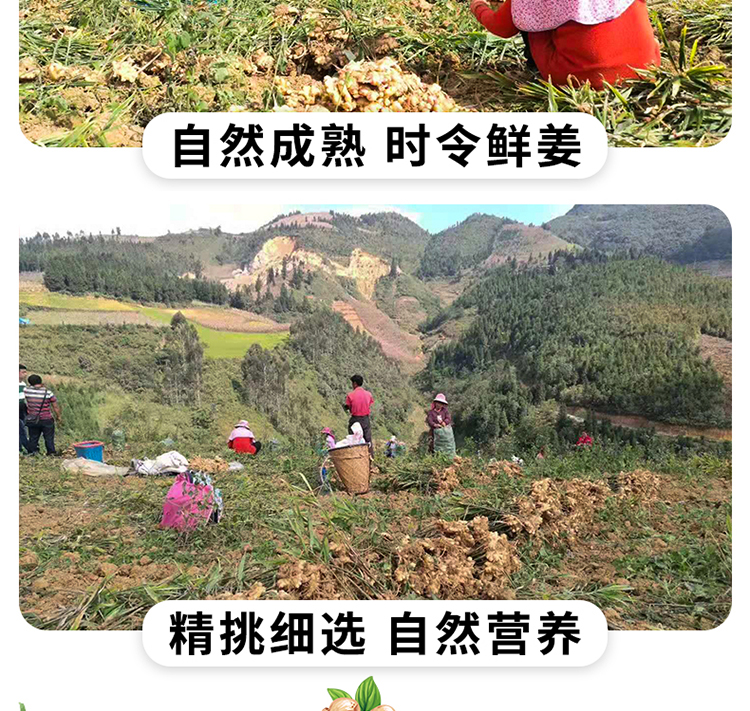 商品详情图 8