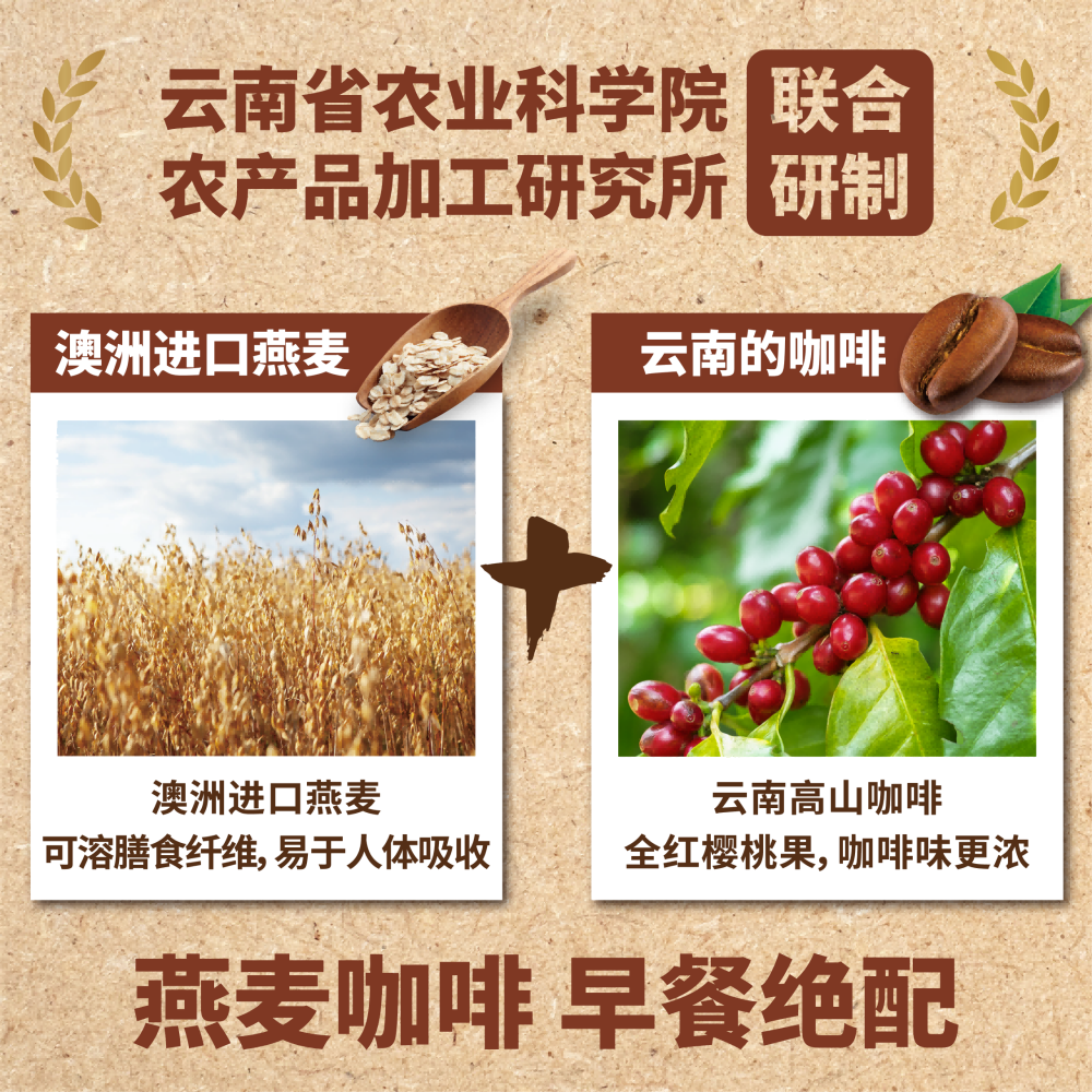 燕麦拿铁咖啡 四只猫速溶咖啡早餐膳食拼配缩略图 4