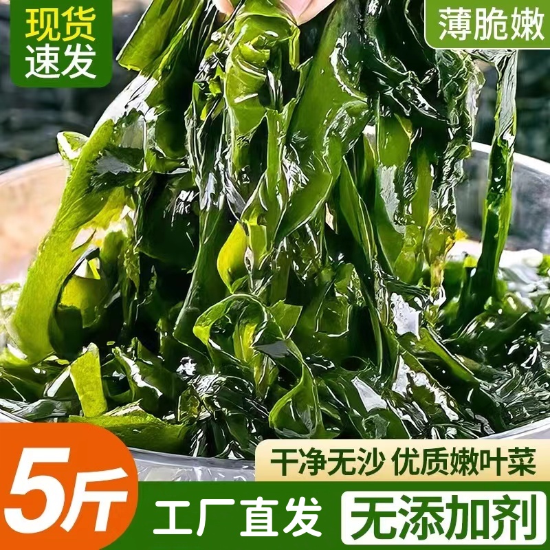 大连当季盐渍裙带菜 高泡发率 美味鲜爽嫩滑5斤/含箱