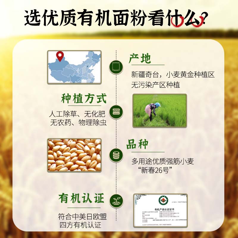 腰站子有机全麦粉精选有机小麦整颗麦子研磨保留麦芯麦香浓郁包子饺子面包粉缩略图 6