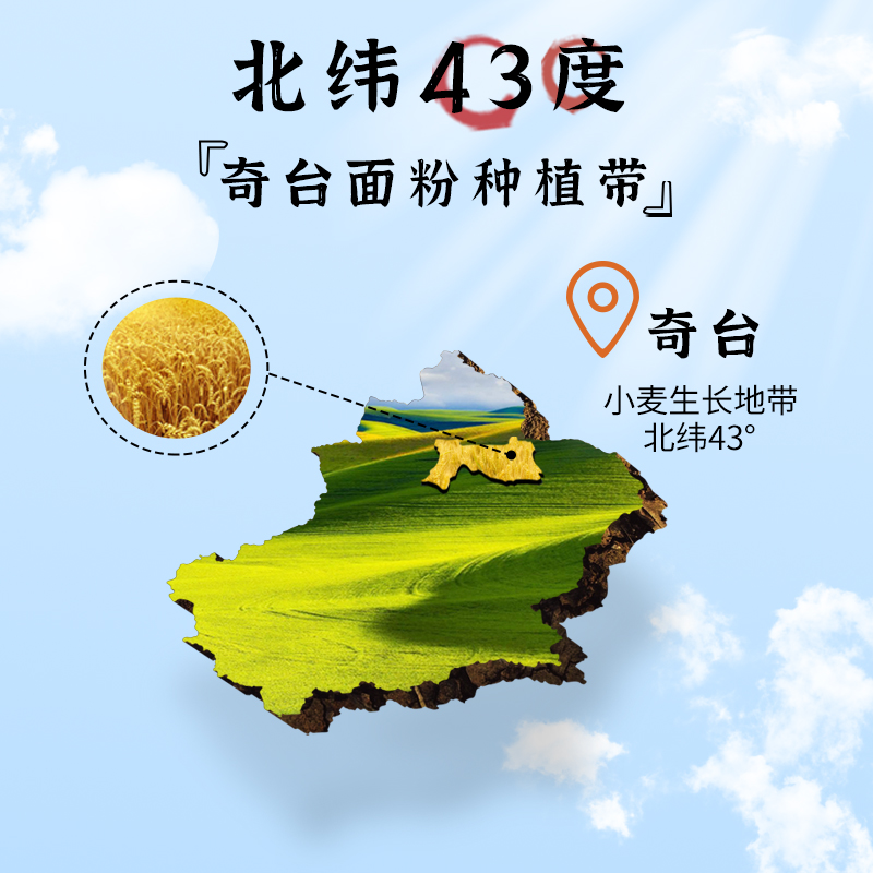 腰站子有机全麦粉精选有机小麦整颗麦子研磨保留麦芯麦香浓郁包子饺子面包粉缩略图 5
