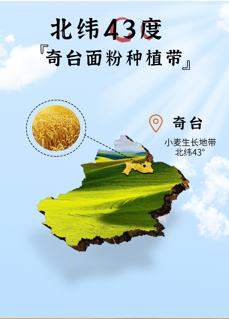 商品详情图 6