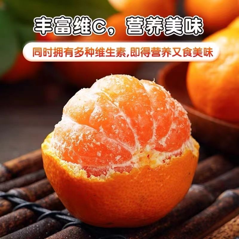 [顺丰上门]正宗高山临海蜜桔临海早熟无核无渣浙江原产地发货无打蜡现摘现发缩略图 4