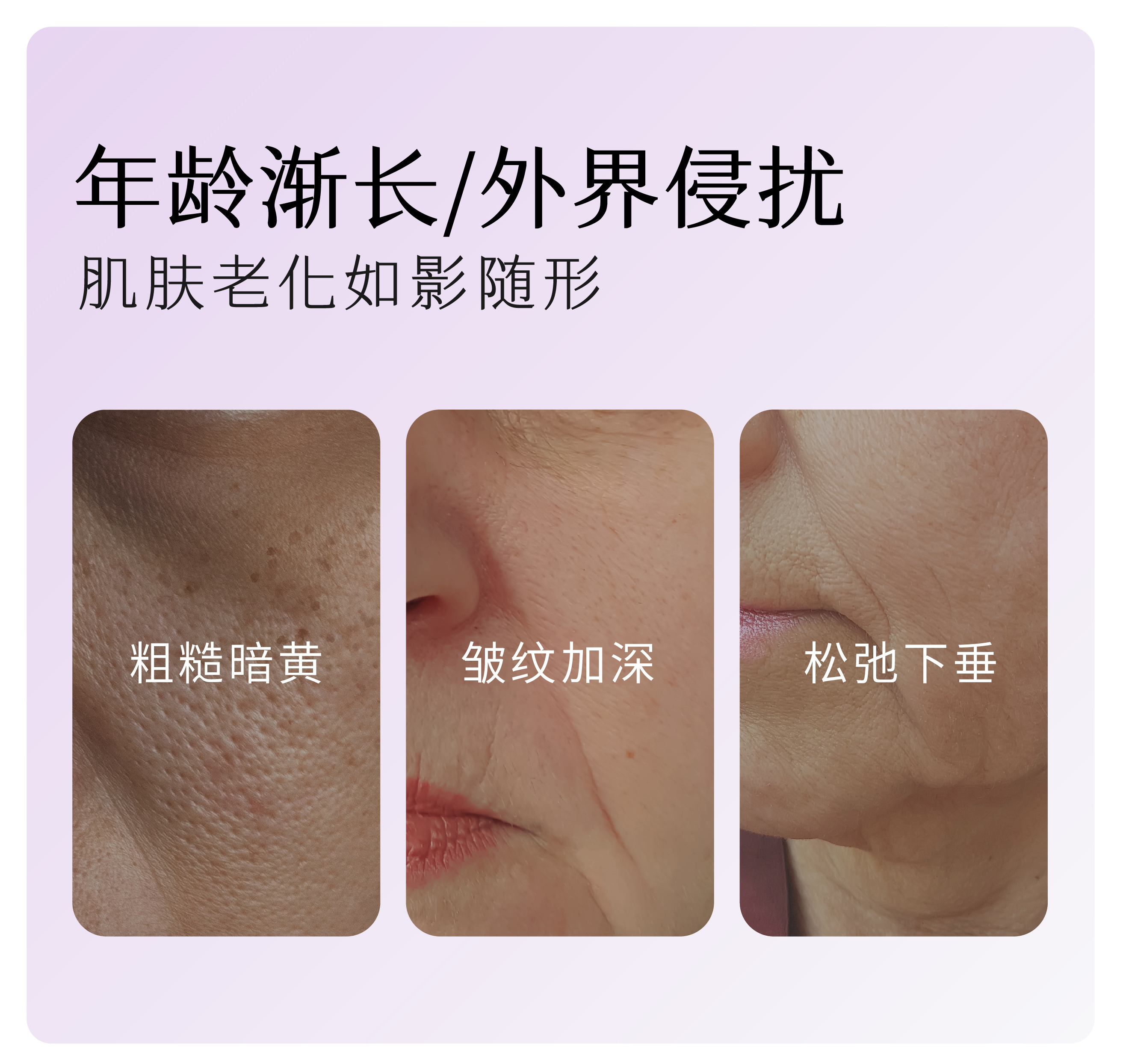 黑玫瑰2.0半亩花田臻萃凝颜套装紧致肌肤保湿滋润WL7缩略图 4
