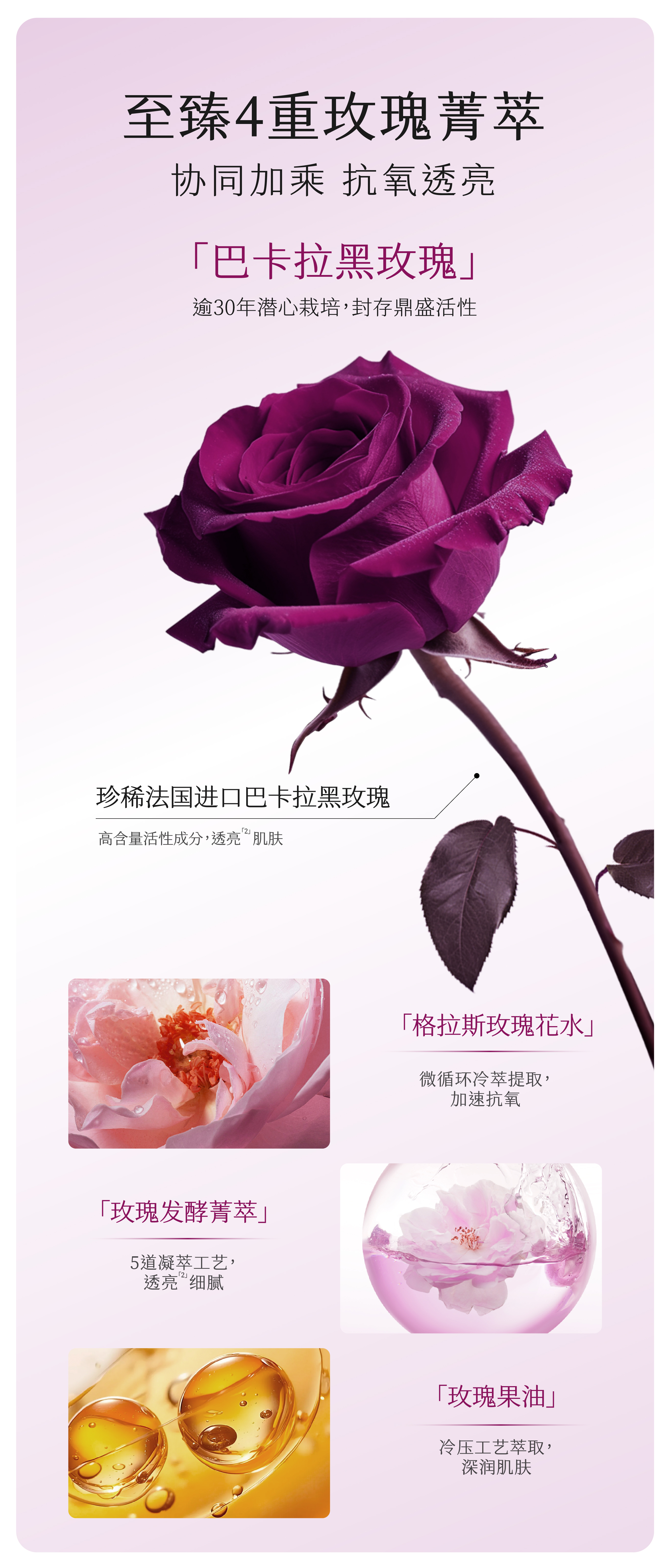 商品详情图 5