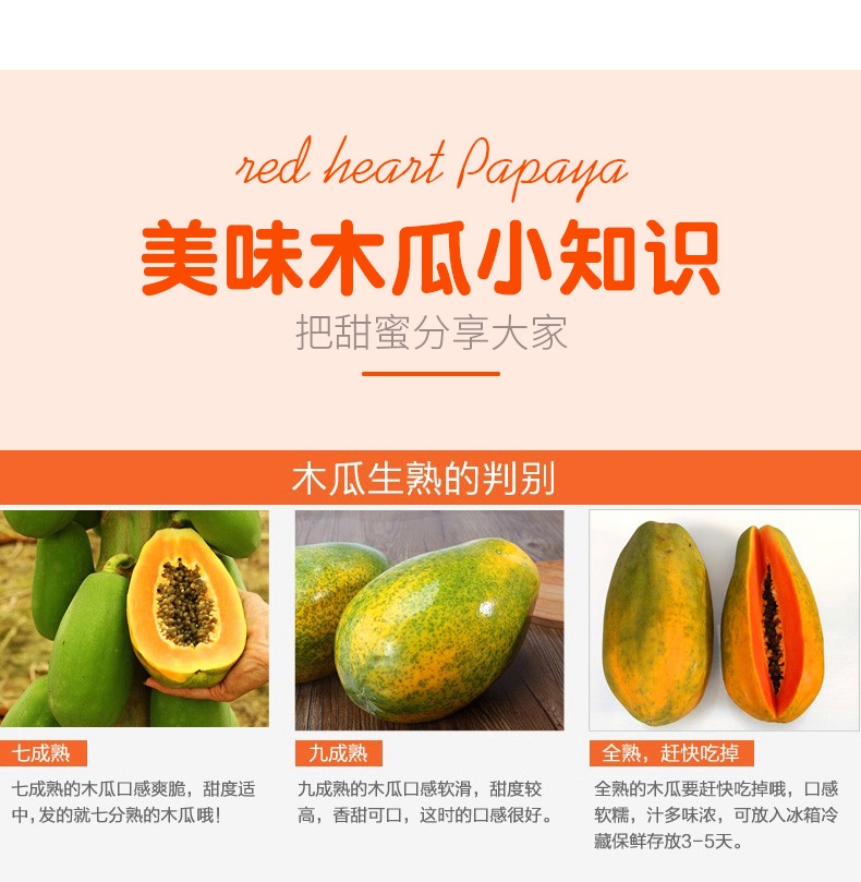 商品详情图 9