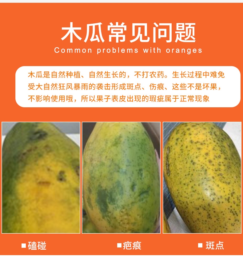 商品详情图 10