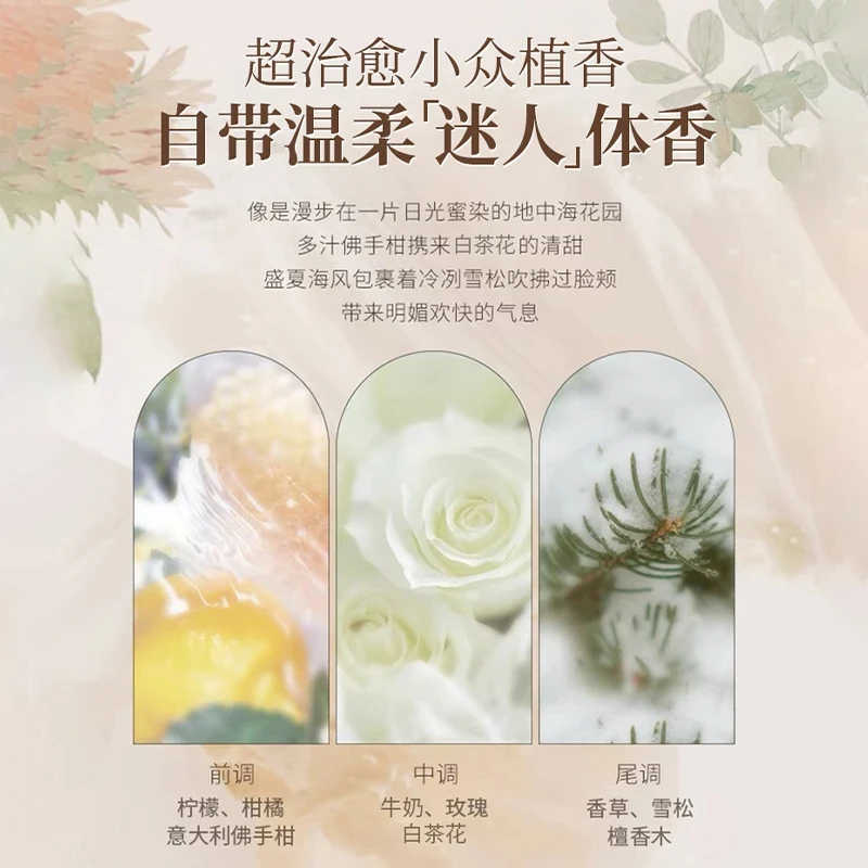 [胖东来&许昌自营]白茶沐浴露持久留香72小时去屑止痒柔顺洗发水修护弹力素洗护套装男女通用缩略图 4