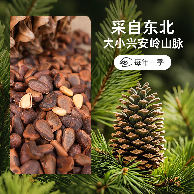 农品多东北松子500g 今年新货大颗粒坚果干果零食缩略图 4